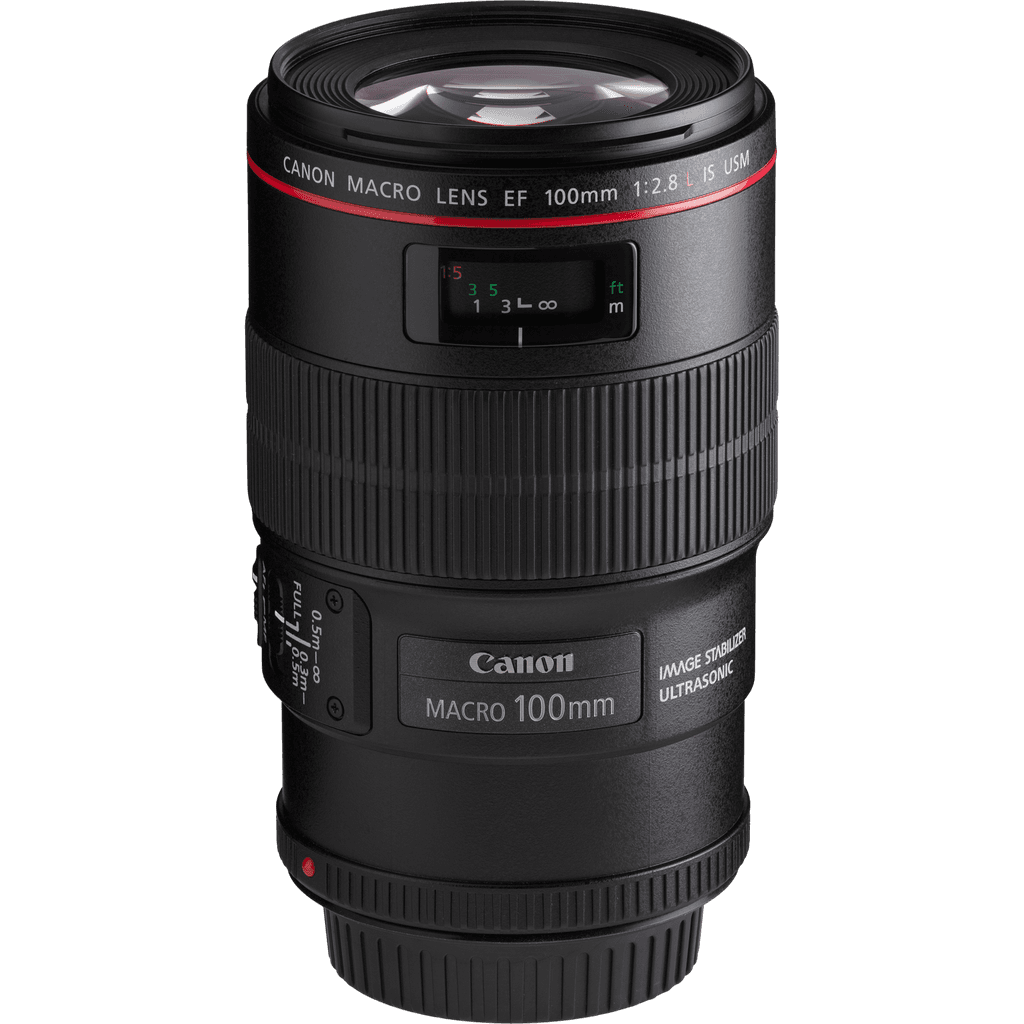 Canon EF 100mm f/2.8L Macro IS USM